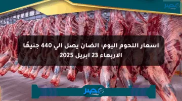 أسعار اللحوم اليوم: الضأن يصل إلى 440 جنيهًا الأربعاء 23 أبريل 2025